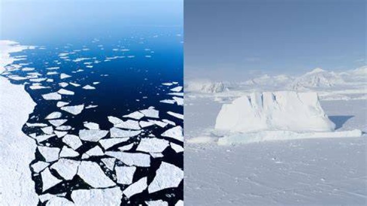 北極と南極どっちが寒い？気温・海氷・風がつくる意外な結論