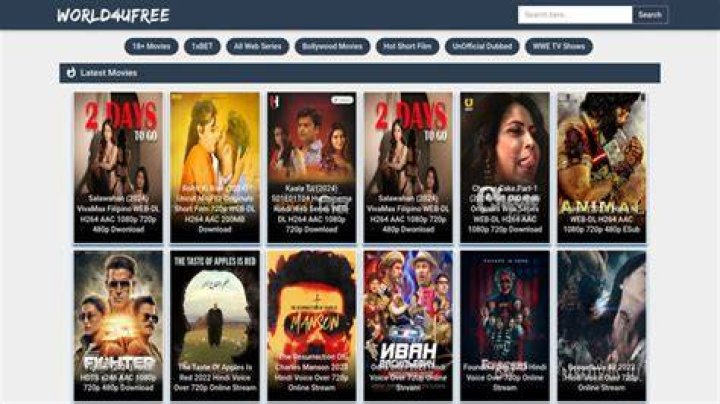 World4uFree: Understanding the Controversial Movie Download Platform